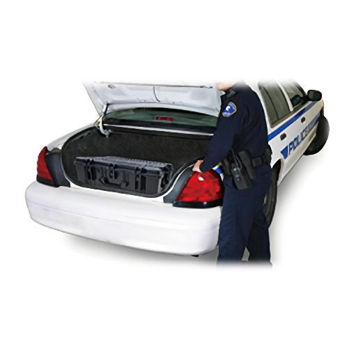 RAD IQTM VM100 Spectroscopic Mobile Detection System